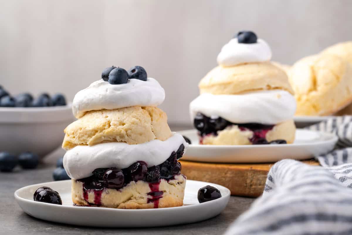 Blueberry Shortcake: More Biscuit Than Cake, All Summer Fun